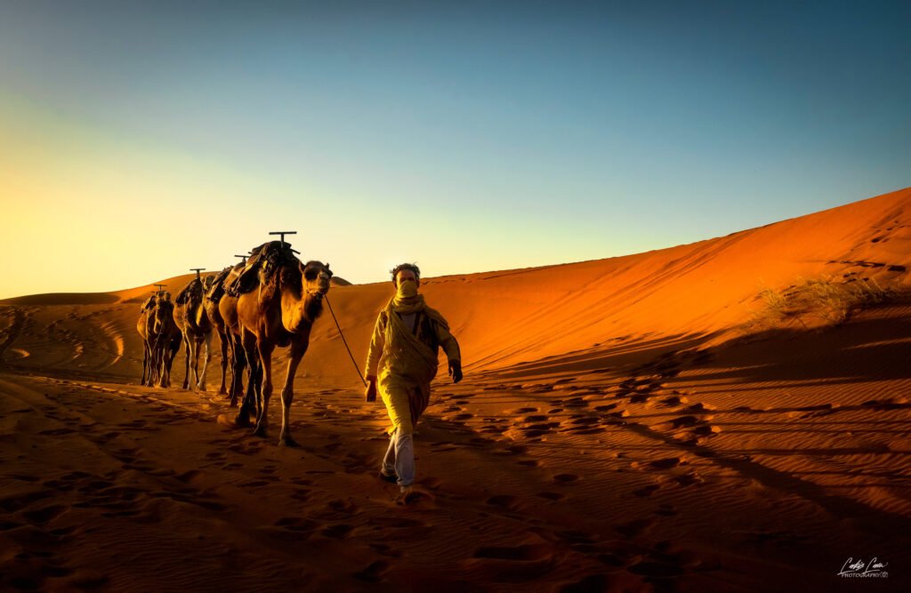 dunes of Merzouga