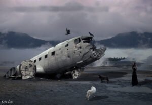 plane.wreck